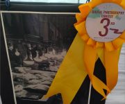 GAD Exhibits Digital Photographs, Visual Art Works
